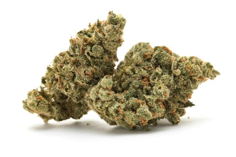 casino kush